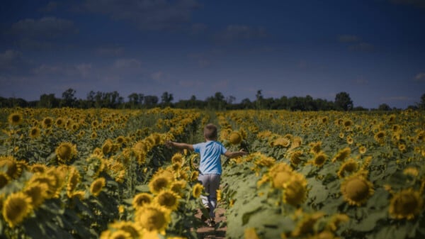 Erfahren Sie die neuesten Entwicklungen an den Finanzmärkten aus unsrem AIP Newsletter
