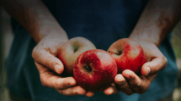 im aktuellsten Newsletter erfahren sie alles über Zinssenkungen, Dollar schwach, Gold stark – was Sie jetzt tun?