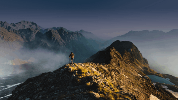 Die neusten News aus den Finanzmärkten im AIP Newsletter