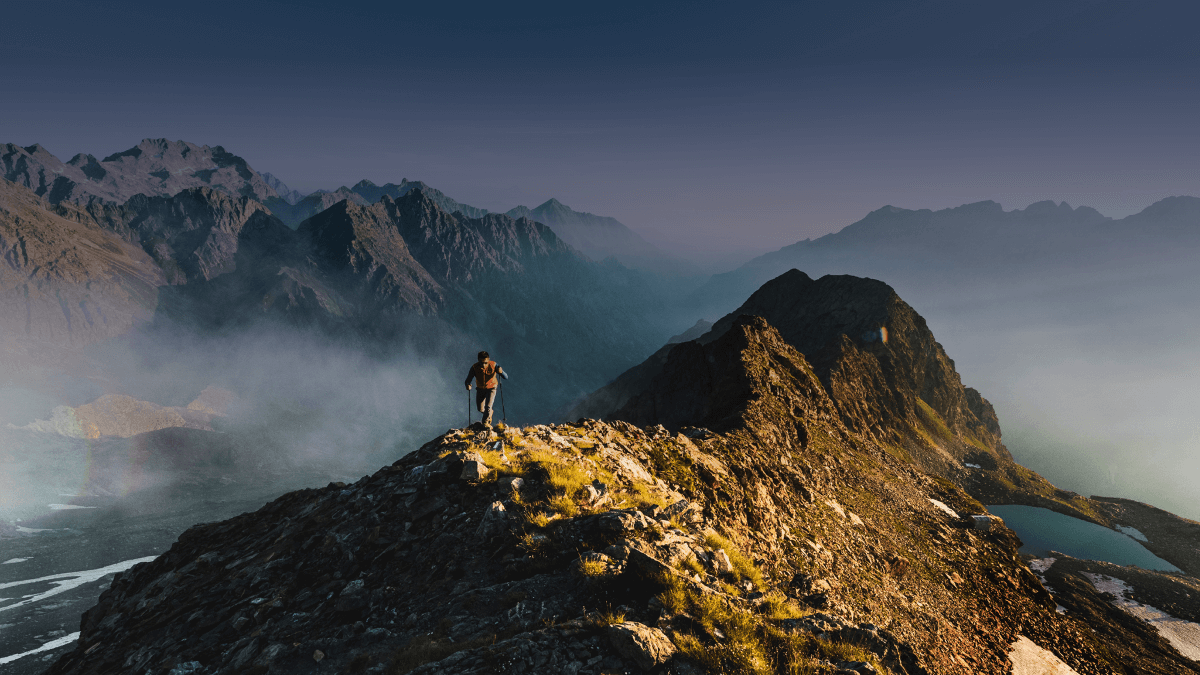 Die neusten News aus den Finanzmärkten im AIP Newsletter